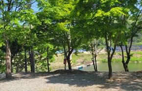 오토캠핑장 12번